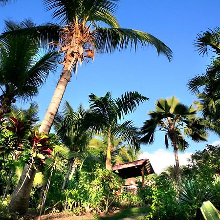 Hotel - Residence Habitation Grande Anse Deshaies Exterior foto