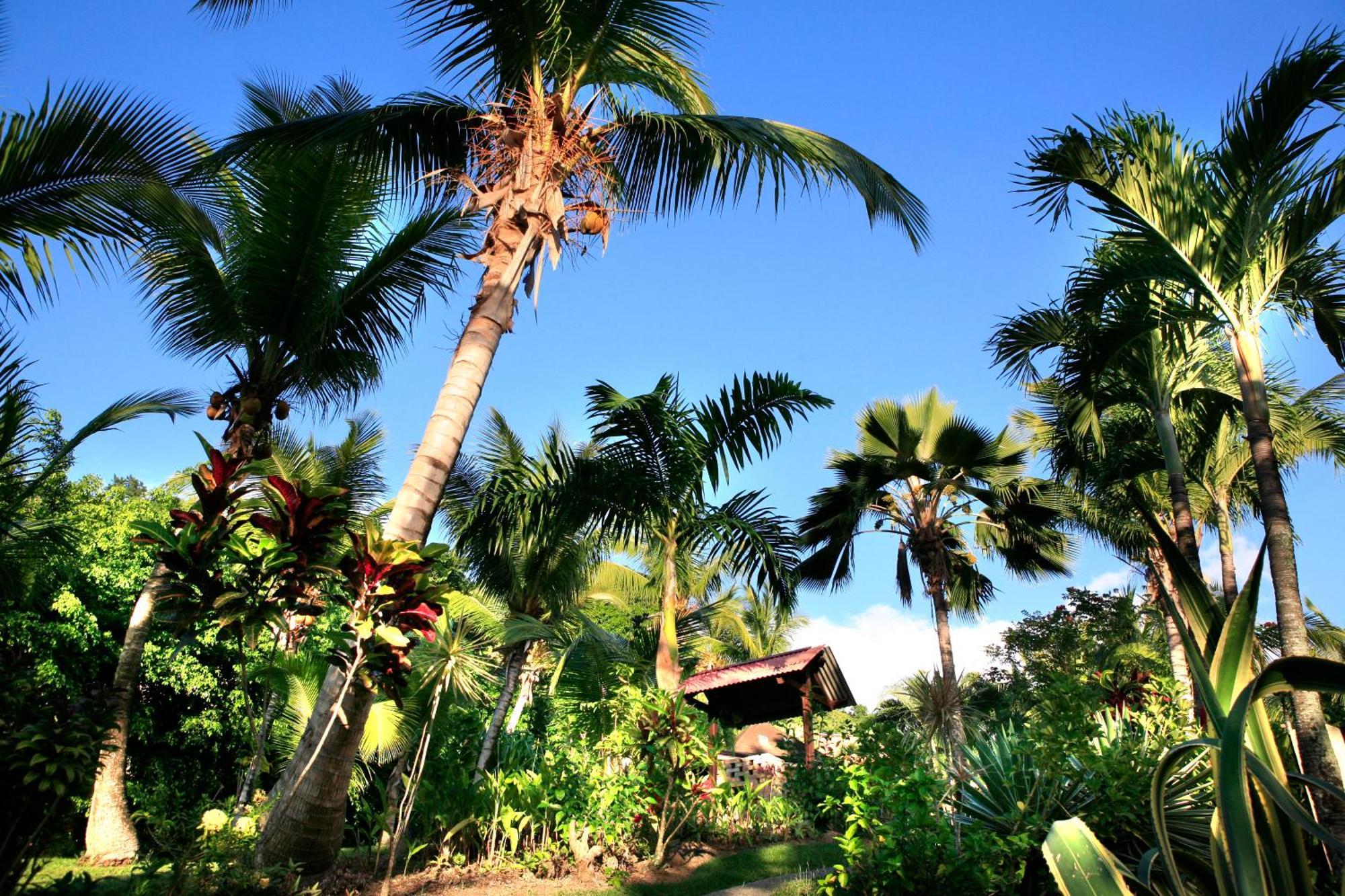 Hotel - Residence Habitation Grande Anse Deshaies Exterior foto