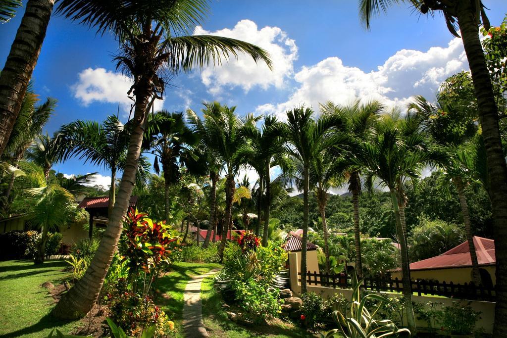 Hotel - Residence Habitation Grande Anse Deshaies Exterior foto